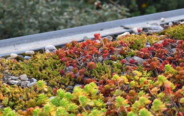 the cost of Trentham green roof installation