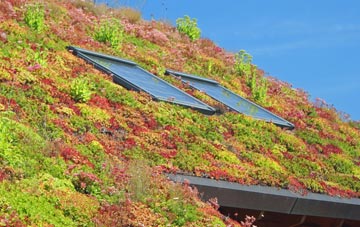 Trentham living roof systems