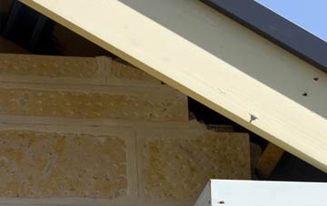 soffit repair Trentham